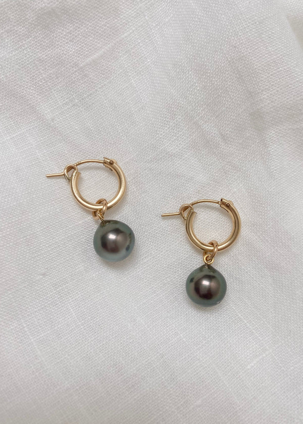 Tahitian Round Pearl Charm Hoop Earrings Gold Fill