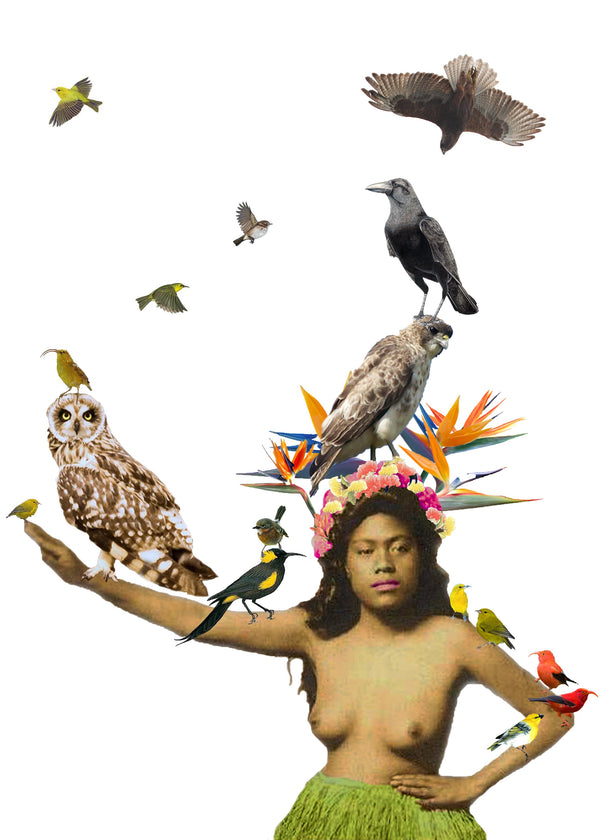 "Birds of Paradise" by Grace Hazel