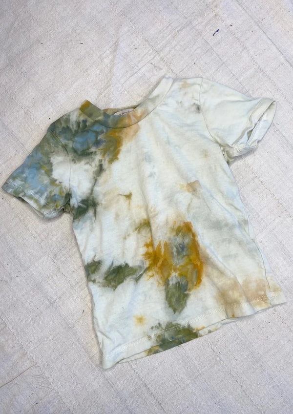 Organic Kids T-Shirt in Lichen