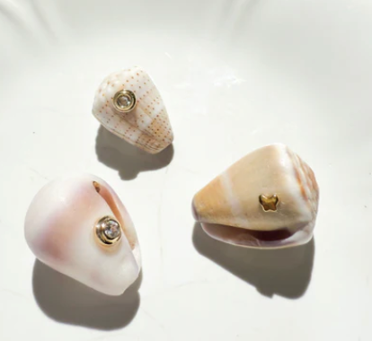 SeaSpark Necklace with Cone shell