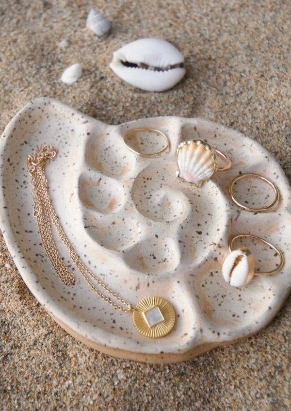 Nautilus Dish