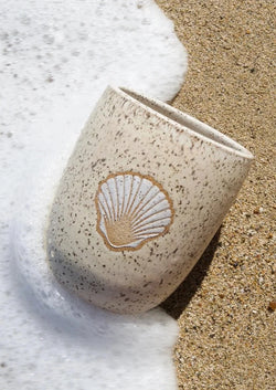 Seashell Cup