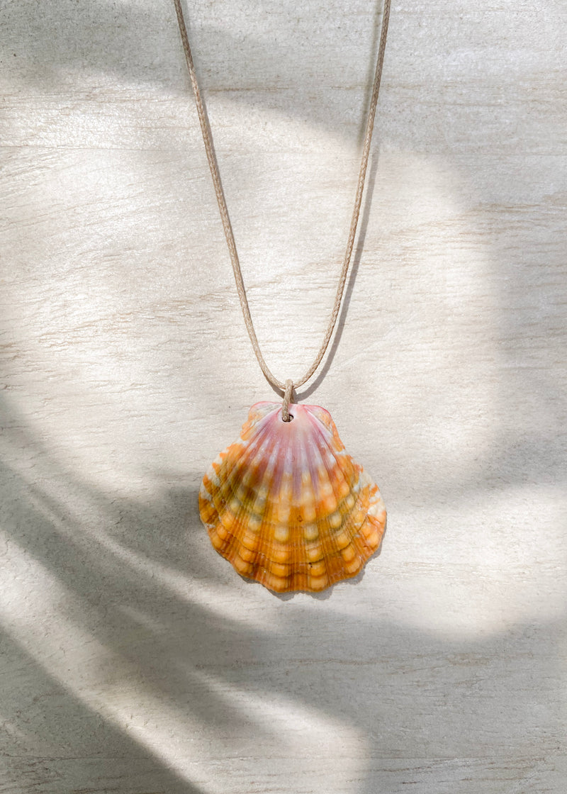 Floating Sunrise Shell Necklace