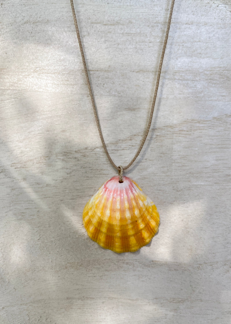 Floating Sunrise Shell Necklace