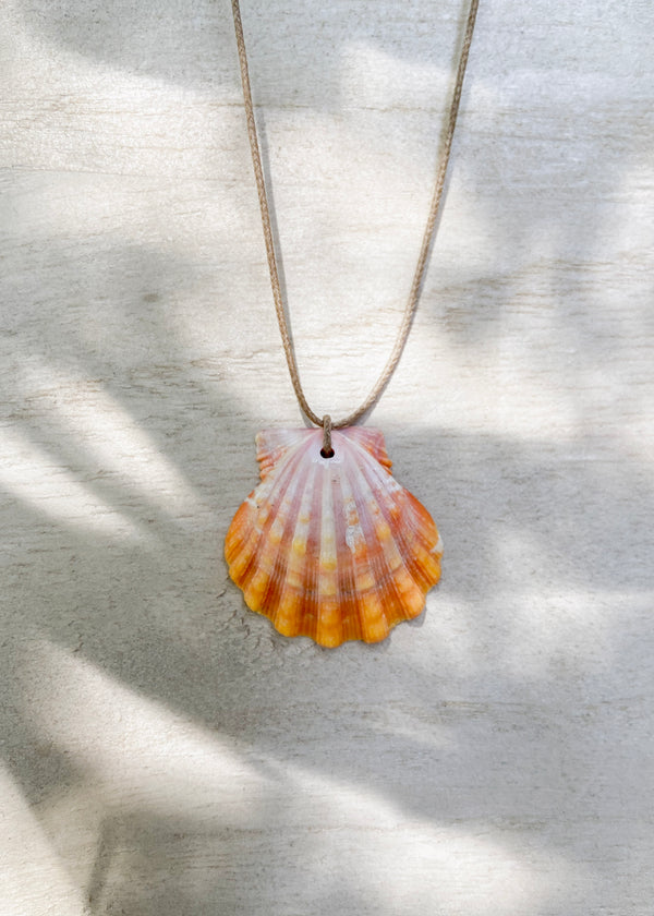 Floating Sunrise Shell Necklace
