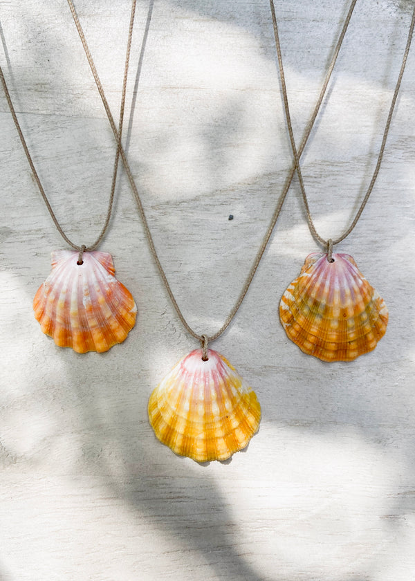Floating Sunrise Shell Necklace