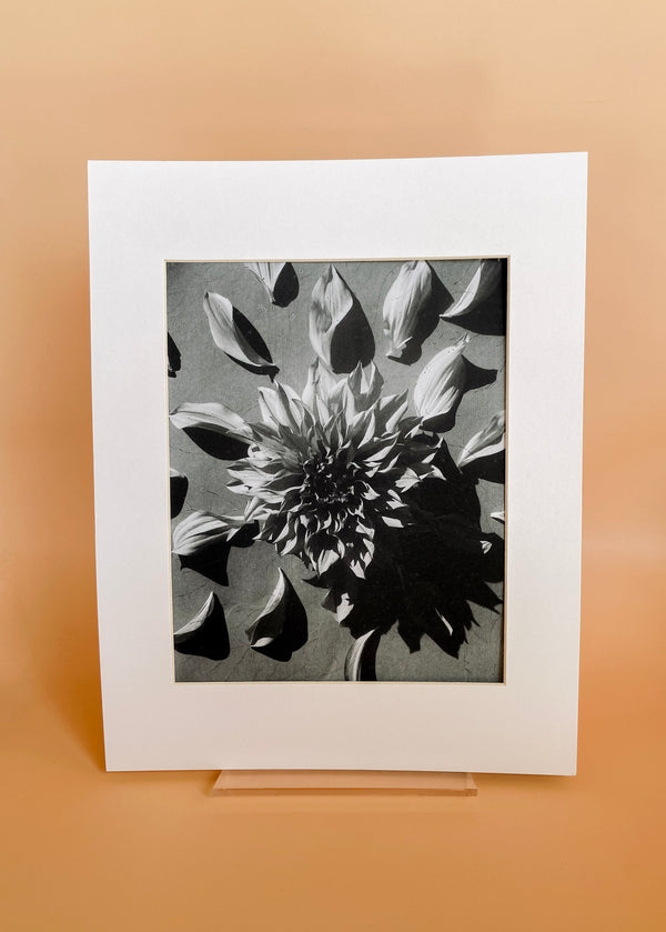 "Dahlia Mandala" by Evan Margot Fischer
