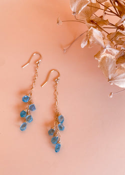 Apetite Long Earrings with 5 Stones