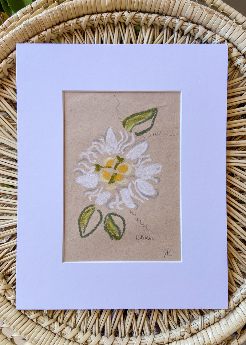 Original Floral Still Life Drawings - 8x10