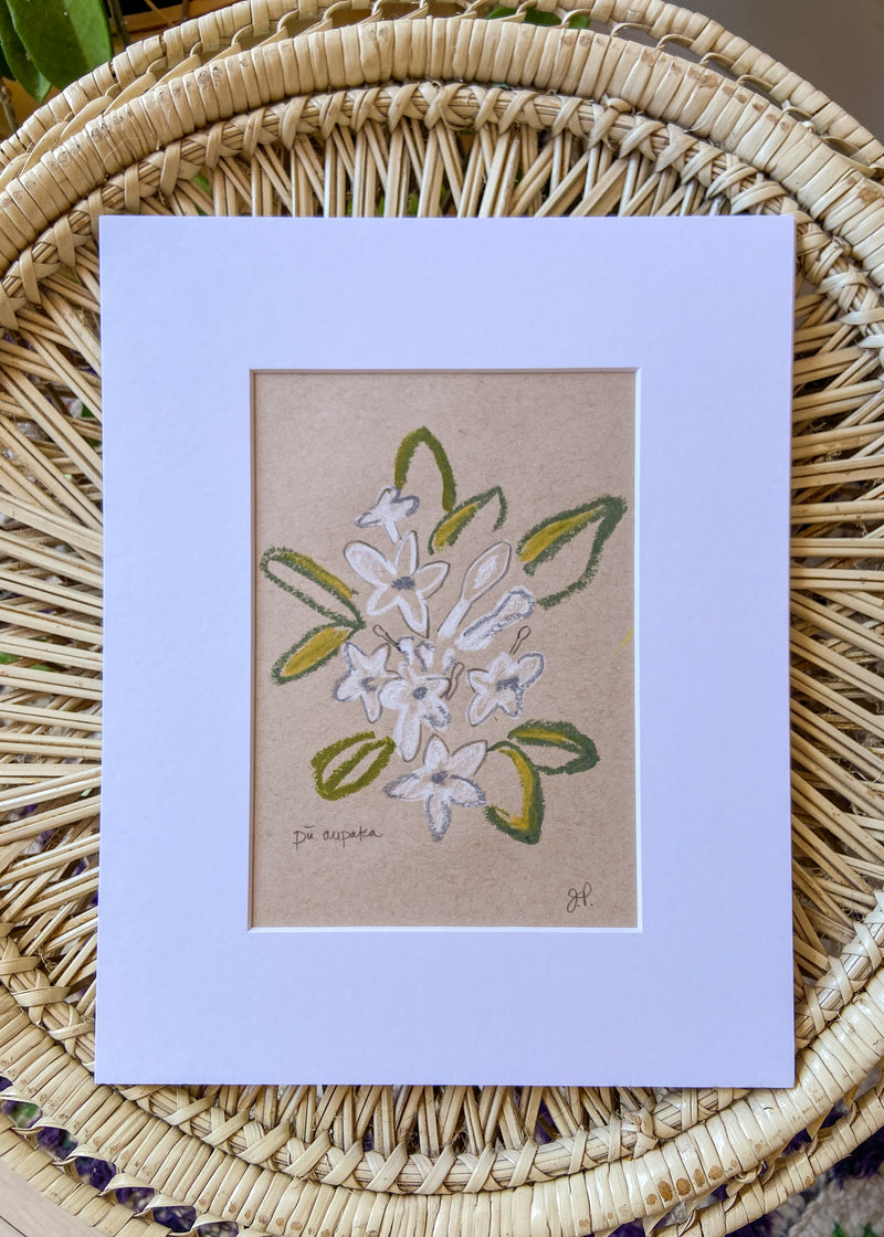 Original Floral Still Life Drawings - 8x10