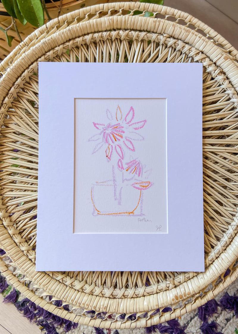 Original Floral Still Life Drawings - 8x10