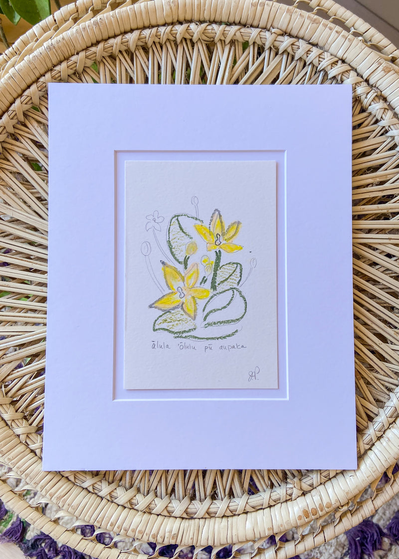 Original Floral Still Life Drawings - 8x10