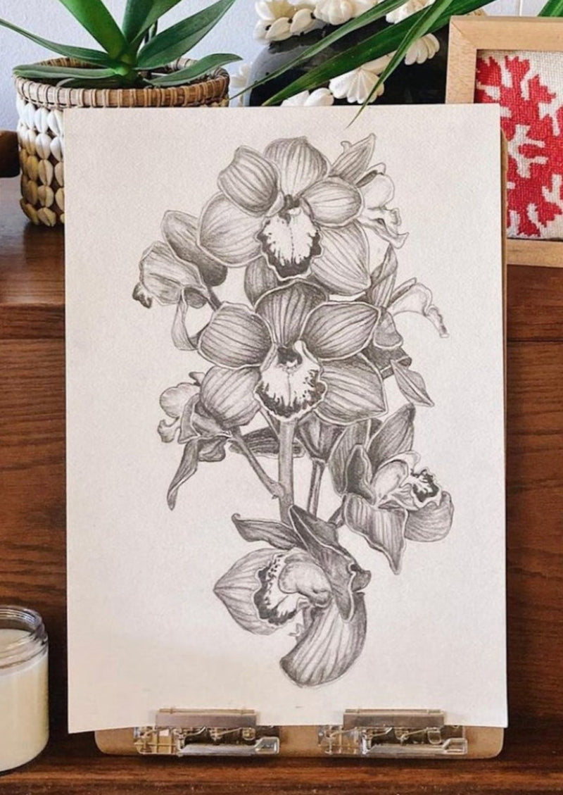 Cymbidium Drawing Giclee