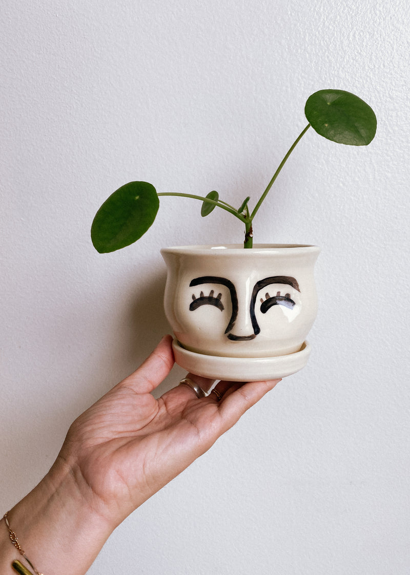 Face Planters