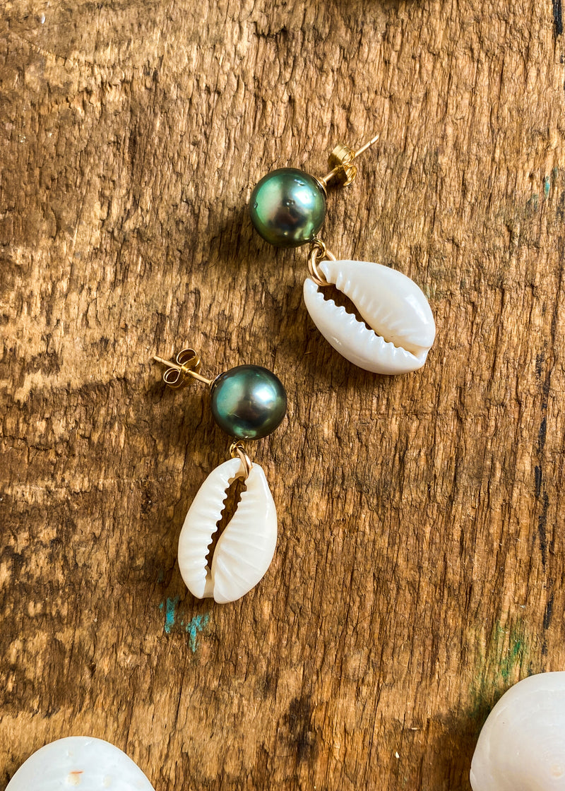 Tahitian and Cowrie Studs