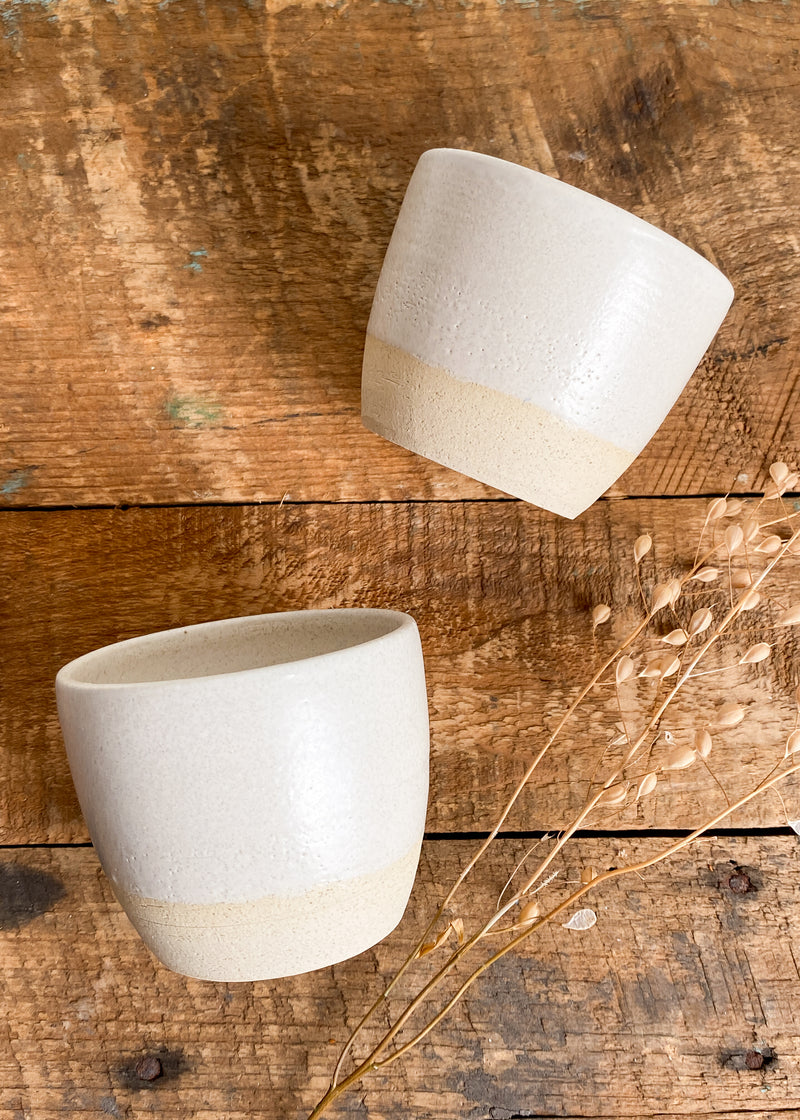 Chibiko Cups - Assorted Colors
