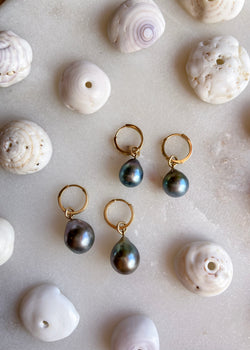14k Tahitian Pearl Drop Charm Hoop Earrings