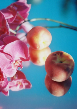 "Daydream of Nectarines" by Evan Margot Fischer