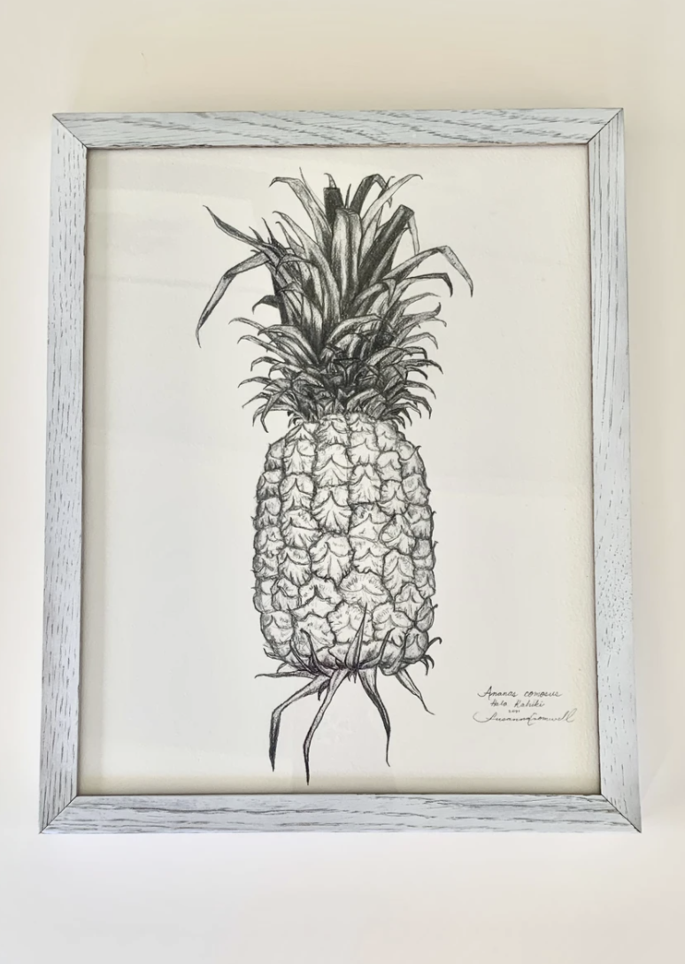 Hala Kahiki - Pineapple - Giclee