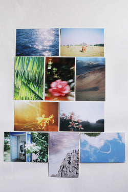 Postcards by Evan Margot Fischer - Assorted